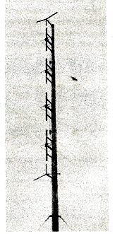Antenn